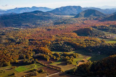 La Fageda D En Jorda Ormanı 'nda sonbahar, La Garrotxa, Kuzey İspanya.