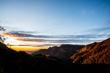 Puigsacalm tepesindeki sonbahar ormanı, La Garrotxa, İspanya.
