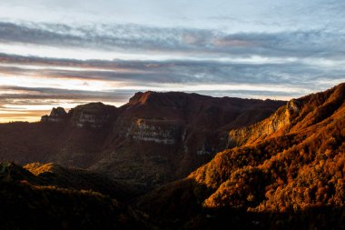 Puigsacalm tepesindeki sonbahar ormanı, La Garrotxa, İspanya.
