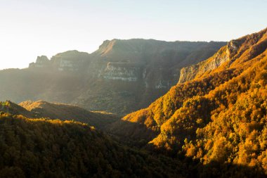 Puigsacalm tepesindeki sonbahar ormanı, La Garrotxa, İspanya.