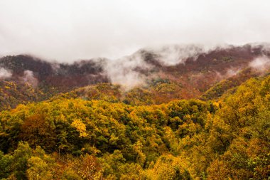 İspanya, La Garrotxa 'da sonbahar yağmurlu günü.