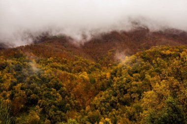 İspanya, La Garrotxa 'da sonbahar yağmurlu günü.