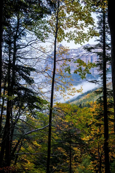 Herfst Ordesa Monte Perdido National Park Spanje — Stockfoto