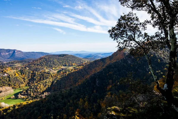 Otoño Bosque Fageda Jorda Garrotxa Norte España — Foto de Stock