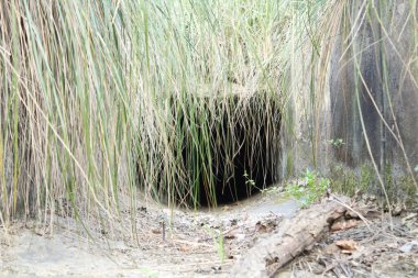 Terk edilmiş yapay kanalda genellikle tarımsal tarlaların sulanması için kullanılan su. Fotoğraf Toskana Akdeniz maketinde çekilmiş. Menfezin girişinin görüntüsü