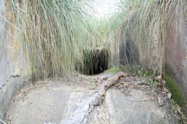 Terk edilmiş yapay kanalda genellikle tarımsal tarlaların sulanması için kullanılan su. Fotoğraf Toskana Akdeniz maketinde çekilmiş. Menfezin girişinin görüntüsü