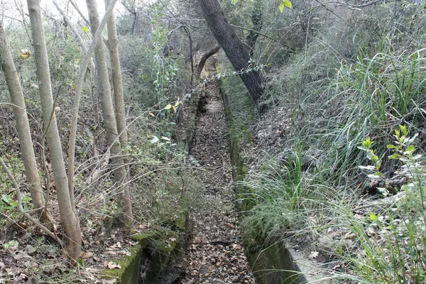 農地の灌漑に一般的に使用される水を流れる人工運河を放棄した 写真はトスカーナ地中海のスクラブで屋外撮影 — ストック写真