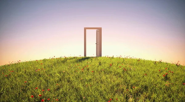 Open Door Meadow Render — Fotografia de Stock