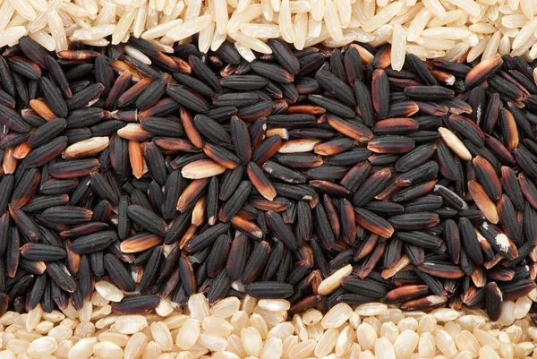 Rice — Stock Photo, Image