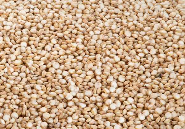 Quinoa — Stock Photo, Image