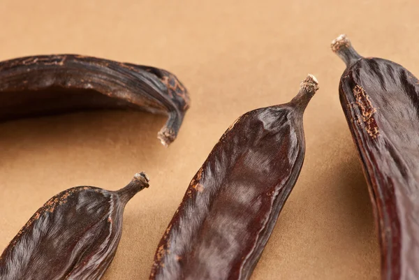 Carob pods — Stock Photo, Image