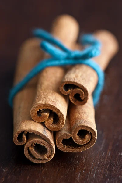 Cinnamon — Stock Photo, Image