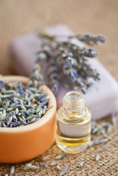 Lavander — Stock Photo, Image