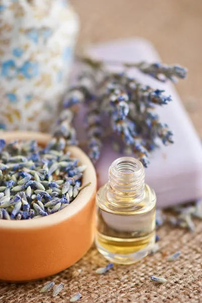 Lavander — Stock Photo, Image