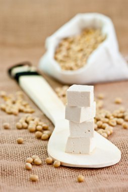 soya fasulyesi & tofu