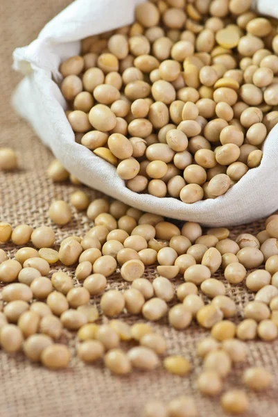 Soy beans — Stock Photo, Image