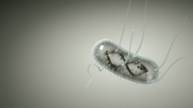 Escherichia Coli (E. Koli. ), gram-negatif çubuk şekilli bakteri, bağırsak normal bitkisinin bir parçası ve ishalin nedensel faktörü ve çeşitli bölgelerde iltihaplanma, 3 boyutlu illüstrasyon