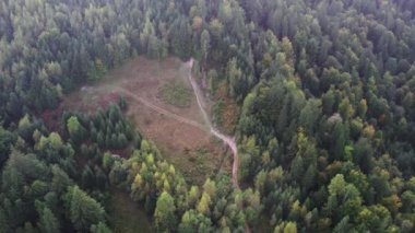 Renkli dağların güzel hava manzarası kozalaklı ormanları kapladı. Renkli gün batımı. Ukrayna