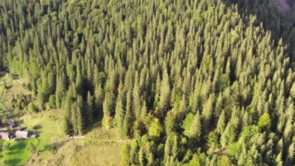 Vacker Antenn Utsikt Över Färgglada Bergen Täckt Barrskogar Färgglad Solnedgång — Stockvideo