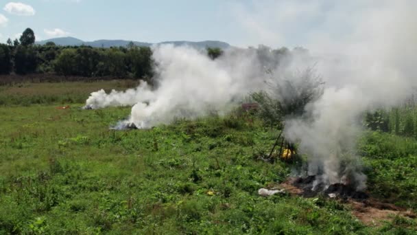 Aerial View Dry Grass Burns Field Bush Fire Smoke Meadow — Stock Video