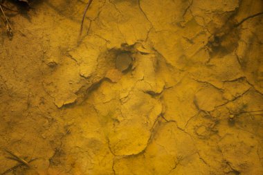 Nehirdeki çamurlu zeminin yakın plan görüntüsü.