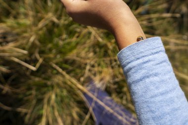 Kırmızı uğur böceği genç bir kızın elinde oturur. Küçük yürüyüşçü kız. Seyahat konsepti. Uğur kuşu yakın görünüm.