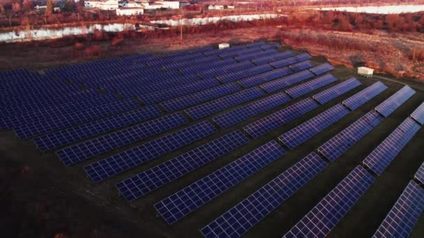 Luftaufnahmen Von Sonnenkollektoren Bei Sonnenuntergang — Stockvideo