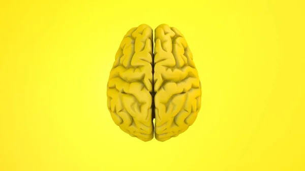 Renderowanie Ludzkiego Mózgu Żółtym Tle — Zdjęcie stockowe