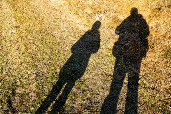 close-up shot of father and daughter shadows on grass