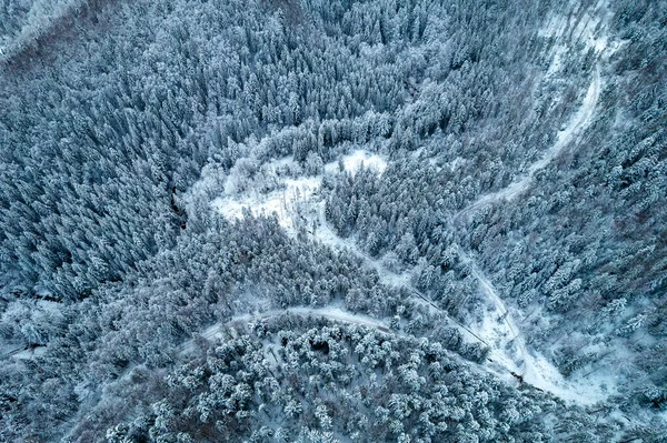 Aerial View Coniferous Forest Covered Shiny Snow Middle Winter Curved — стоковое фото