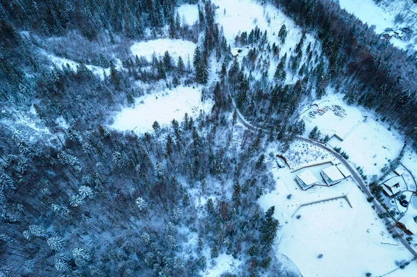 Aerial View Coniferous Forest Covered Shiny Snow Middle Winter Curved — Photo