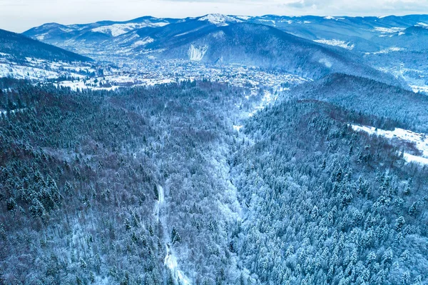 Aerial view of coniferous forest covered with shiny snow in the middle of winter. Curved river between mountains. Top view on snow-covered old spruce forest.