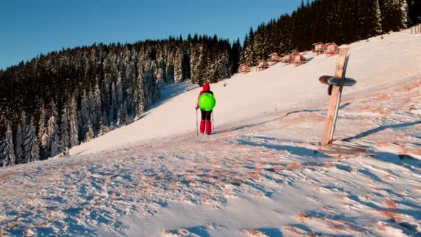 Vista Posterior Mujer Activa Senderismo Fondo Las Montañas Día Invierno — Vídeos de Stock