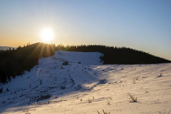 Fantástico Nascer Sol Floresta Inverno Hora Inverno Idílico Sol Brilhante — Fotografia de Stock