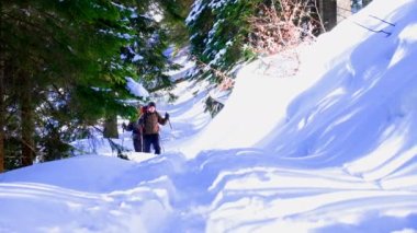 Sırt çantalı gezginler sabahın erken saatlerinde en tepeye çıkarlar. Dağlarda güzel bir gün doğumu. Kış karlı orman. Parlak kış günü.