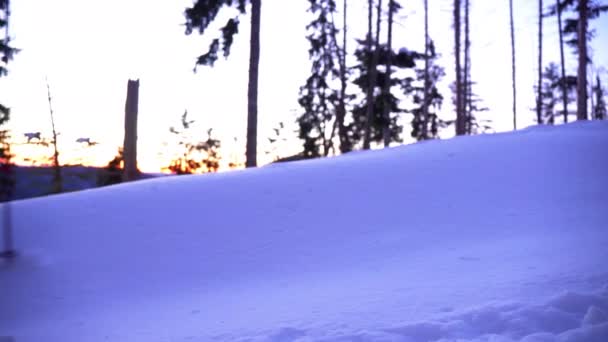 背包客一大早就到蜂窝的顶部去了 美丽的日出在山上 冬季雪地森林 新的冬日 — 图库视频影像