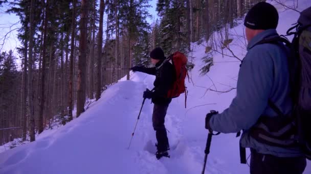 Backpackers Πάει Στην Κορυφή Του Hiil Νωρίς Πρωί Όμορφη Ανατολή — Αρχείο Βίντεο