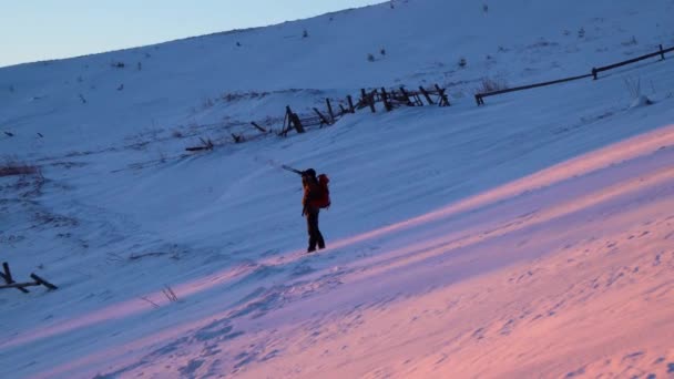 日の出時にマウンテンリッジを歩くハイカーのバックビュー リュックを持つ若い男は冬に山の中を旅します 冬の冒険休暇 冬の山の中で雪のウォーキングハイカーハイキング — ストック動画