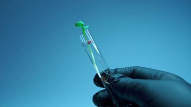 ... şişede büyüyen mikro yeşilin yakın plan çekimi.