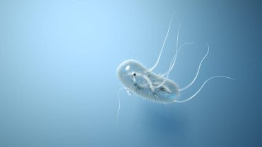 Mikroskop altında Escherichia coli. Mikroskop altında hücreler ya da bakteriler. Patojenik bakteriler. Tıbbi ve Bilimsel geçmiş. Renkli bakteriler, mikroplar mantarlar, patojenik virüs 3D çizimler