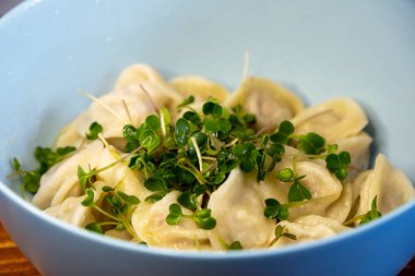 Ahşap arka plandaki mavi kasede lezzetli etli börekler. Taze mikro sebzeler ve hamur tatlısı. Ukrayna geleneksel yemeği