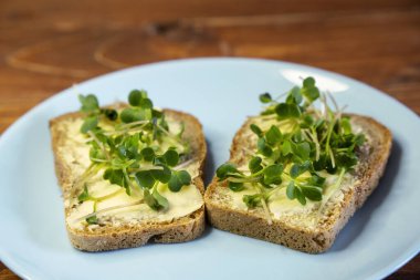 Kahvaltı için sandviç hazırla. Mavi tabakta mikro yeşillikli sandviçler ahşap arka planda lezzetli ve taze organik gıdalar sağlıklı kahvaltı konsepti