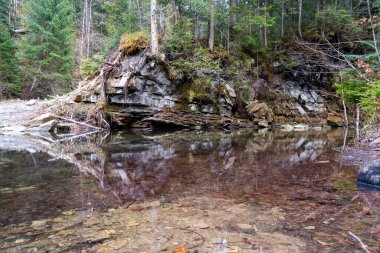 Mountain stream in spring in the stony forest. Beautiful river flowing by the forest during the Spring. Carpathian, Ukraine spring forest creek