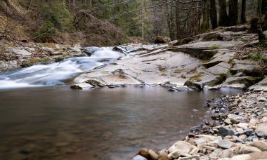 İlkbaharda taşlı ormanda bir dağ deresi. İlkbahar boyunca ormanın yanından akan güzel bir nehir. Karpatlar, Ukrayna Bahar Ormanı Deresi