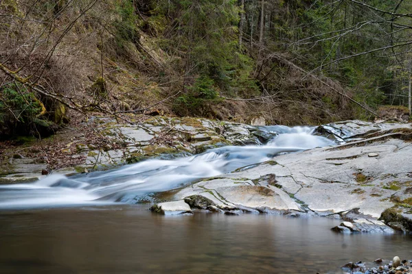 Mountain Stream Spring Stony Forest Beautiful River Flowing Forest Spring — Stock Photo, Image