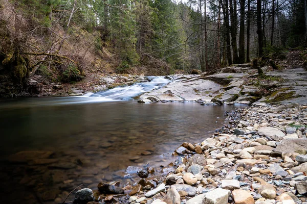 İlkbaharda taşlı ormanda bir dağ deresi. İlkbahar boyunca ormanın yanından akan güzel bir nehir. Karpatlar, Ukrayna Bahar Ormanı Deresi