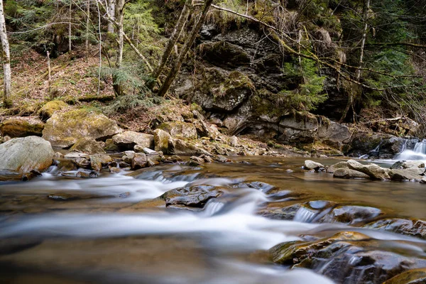 Mountain Stream Spring Stony Forest Beautiful River Flowing Forest Spring — Stock Photo, Image