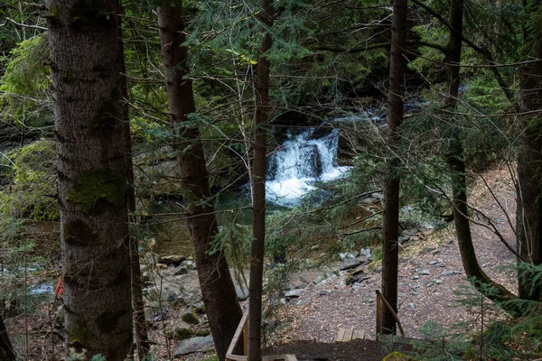 İlkbaharda taşlı ormanda bir dağ deresi. İlkbahar boyunca ormanın yanından akan güzel bir nehir. Karpatlar, Ukrayna Bahar Ormanı Deresi