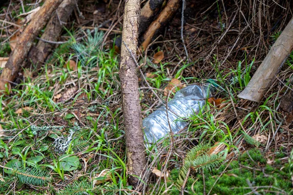 Tiro Close Garrafa Plástico Troncos Madeira Grama Verde Floresta — Fotografia de Stock