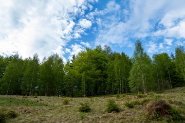 Güzel Karpat Dağları manzarasının manzarası